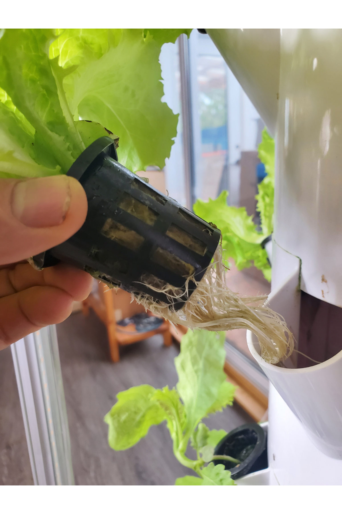 Salad Tree- 9 Layer Grow Tower Kit