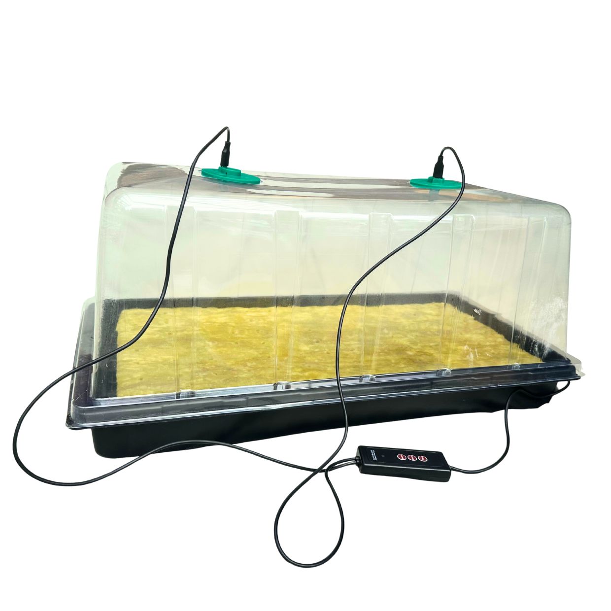 Pro Seedling Starter kit