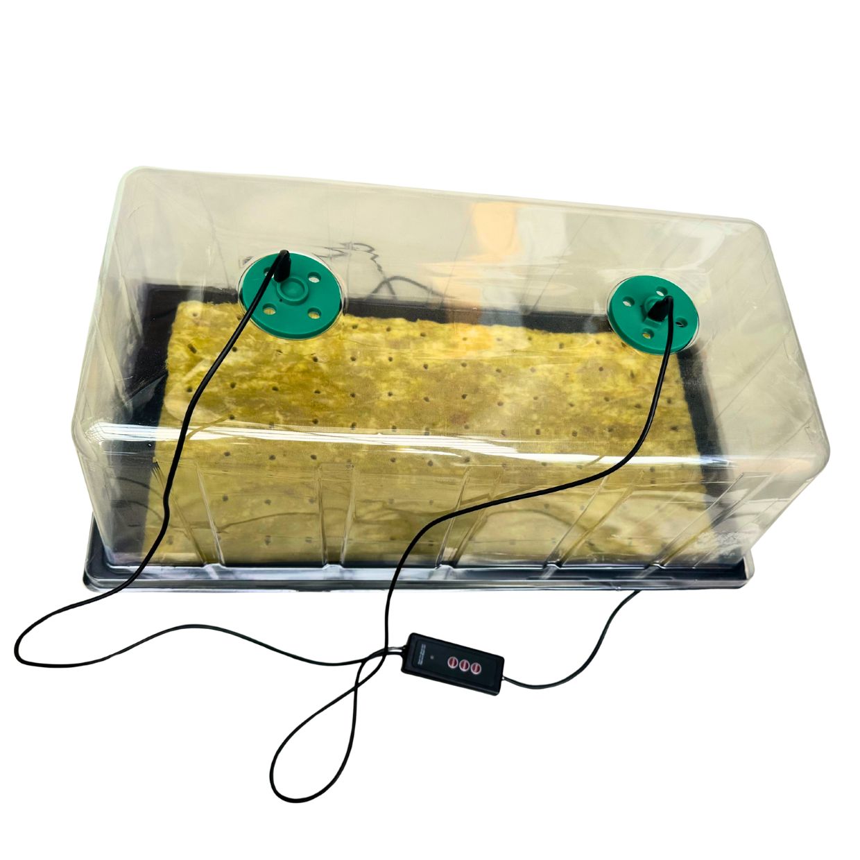 Pro Seedling Starter kit