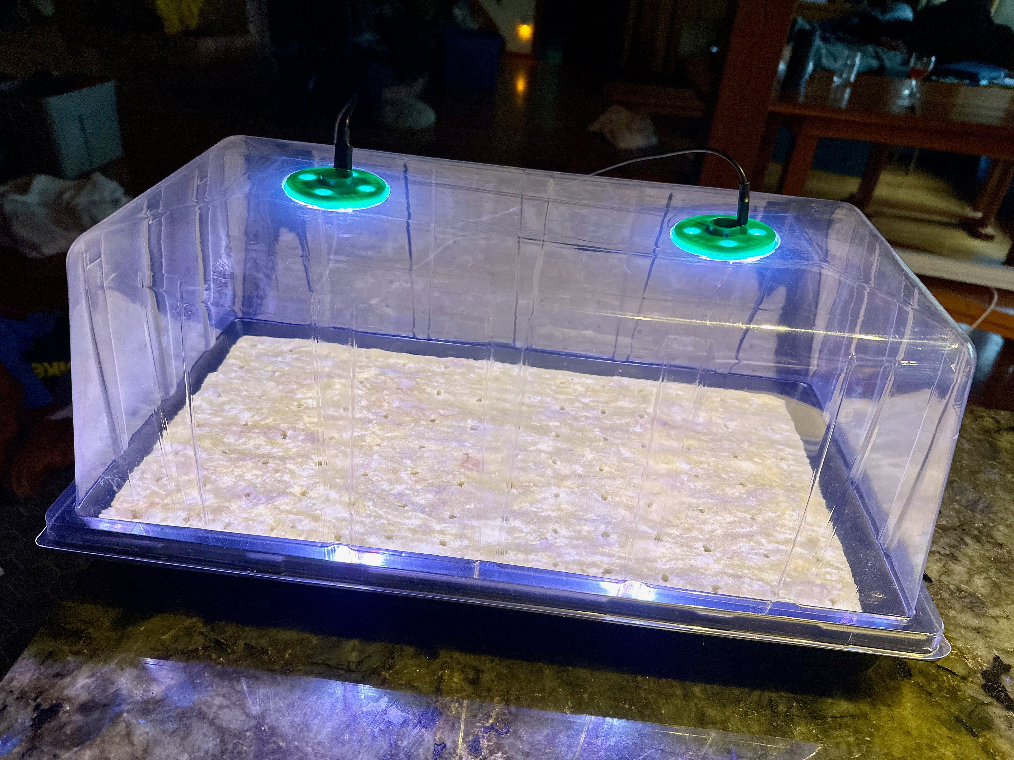 Pro Seedling Starter kit