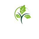 Salad Tree