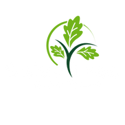 Salad Tree