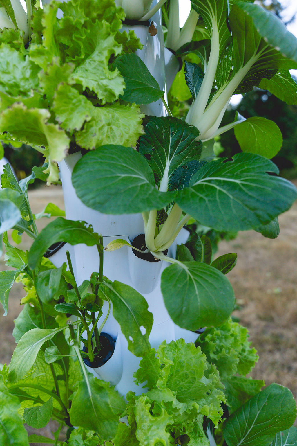 The Ultimate 13 layer Grow Tower Bundle