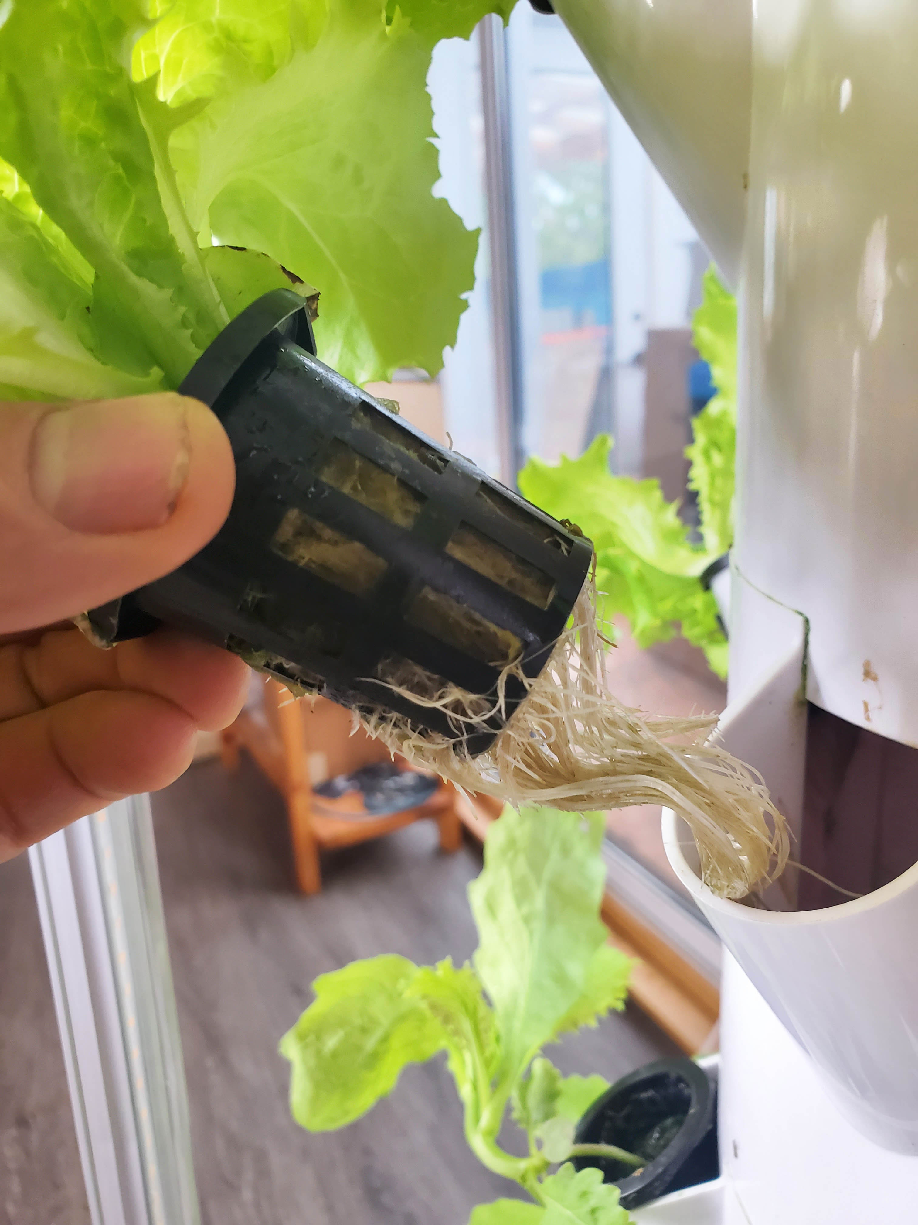 Salad Tree Complete 9-Layer Grow Tower Starter Kit Bundle