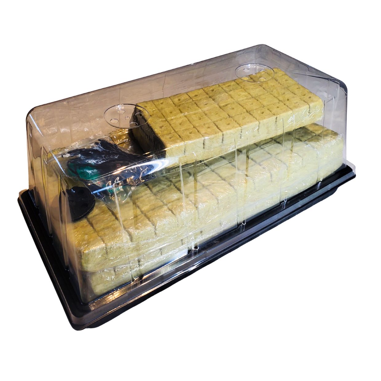 Pro Seedling Starter kit