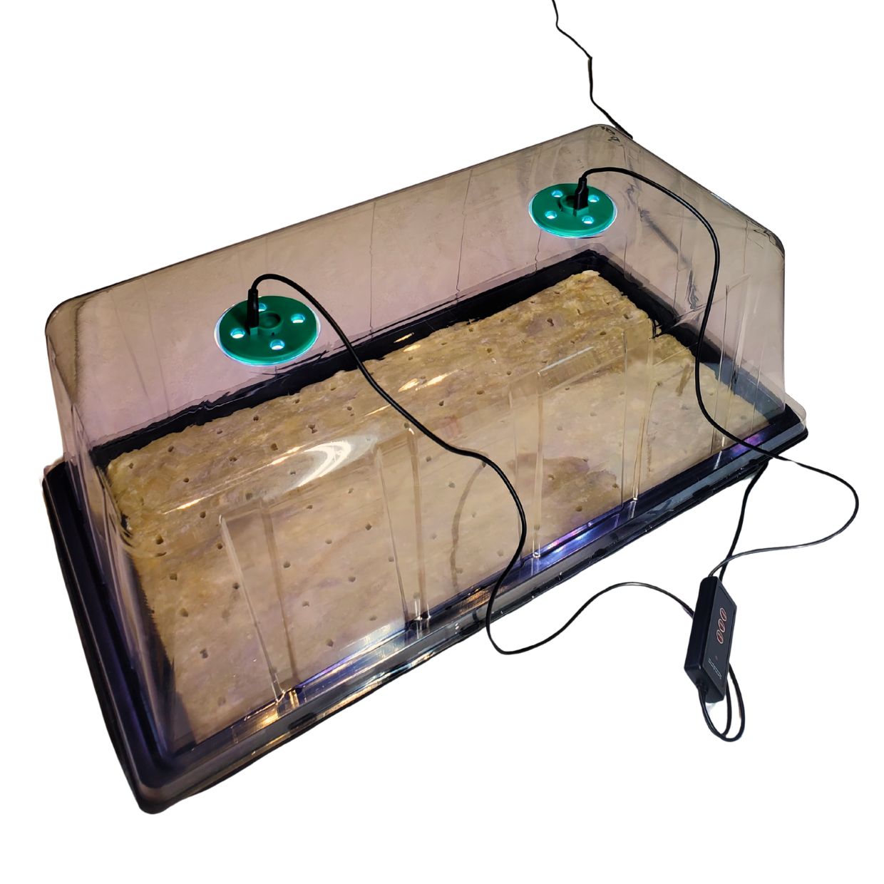 Pro Seedling Starter kit