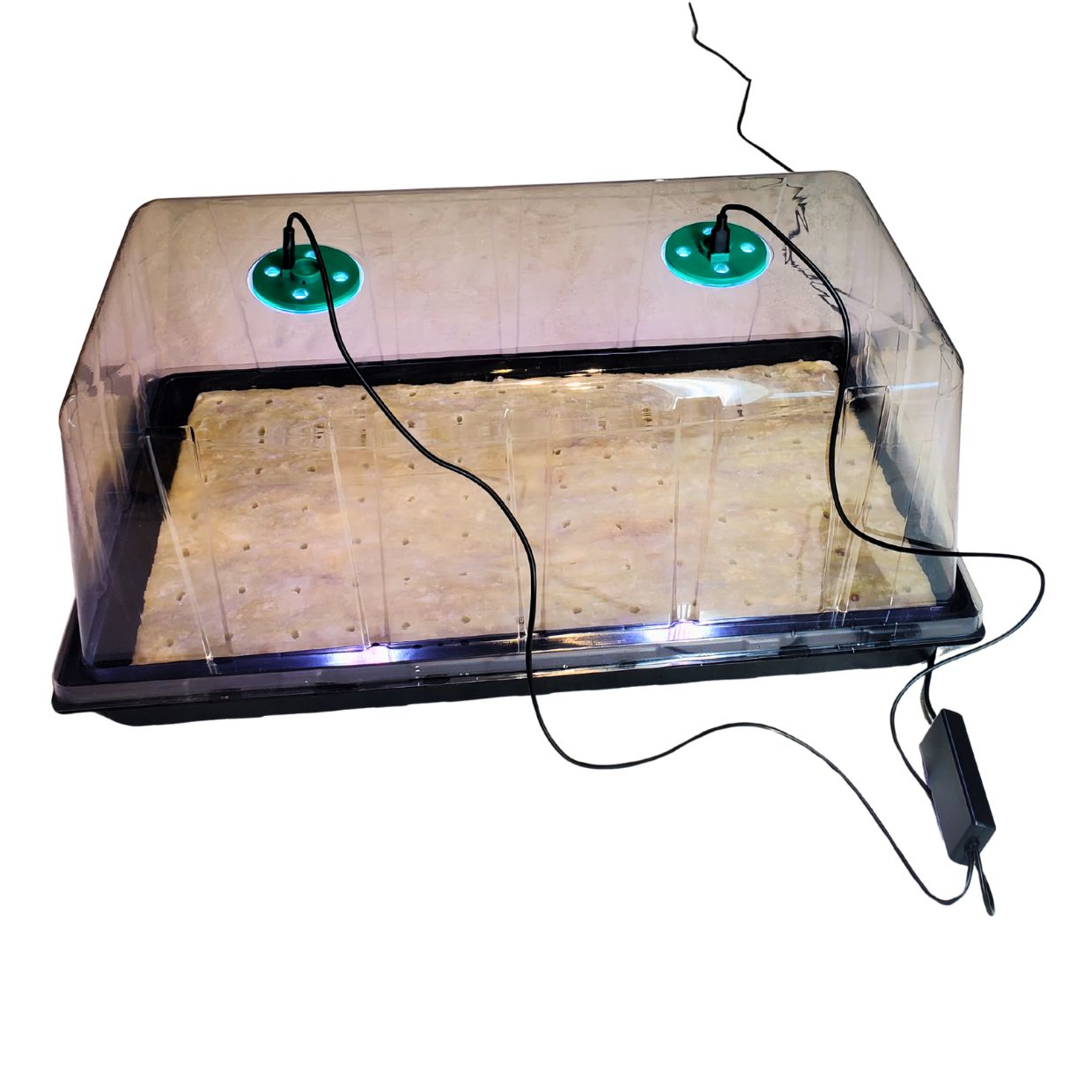 Pro Seedling Starter kit