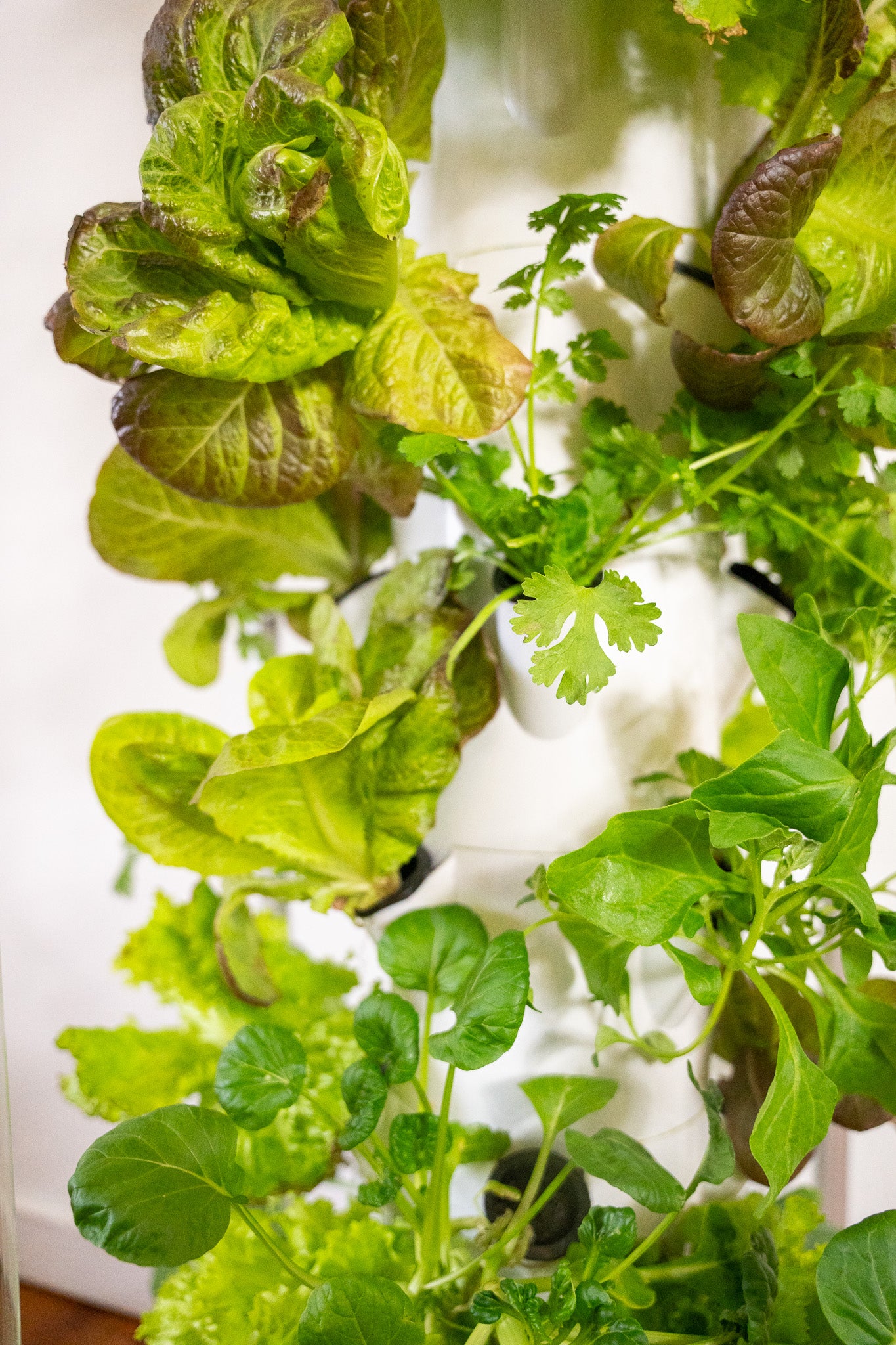 Salad Tree- 9 Layer Grow Tower Kit