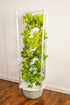 Salad Tree- 9 Layer Grow Tower Kit