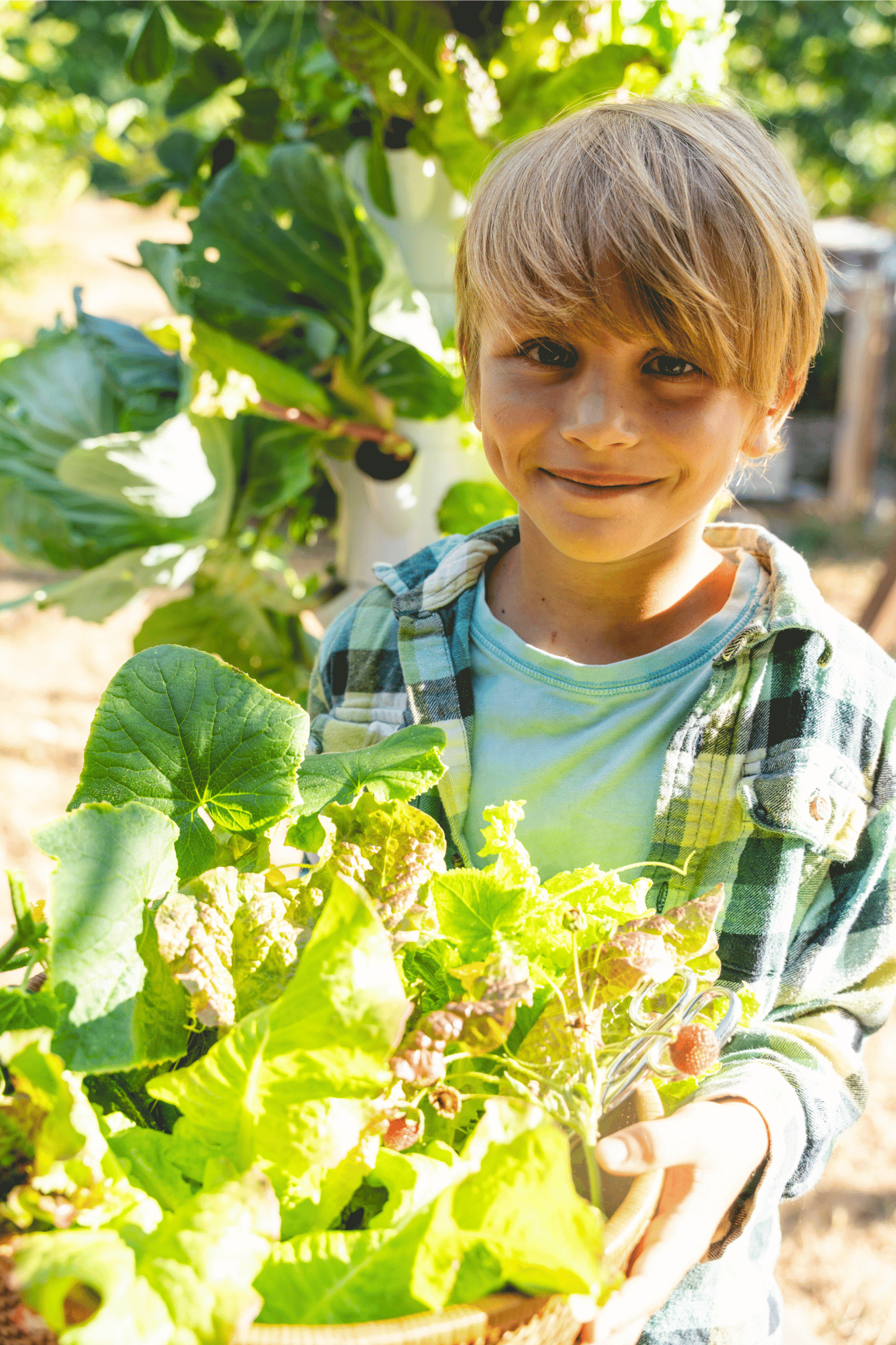 Salad Tree Complete 9-Layer Grow Tower Starter Kit Bundle